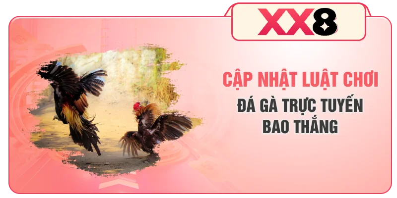 Cập nhật luật chơi đá gà trực tuyến bao thắng
