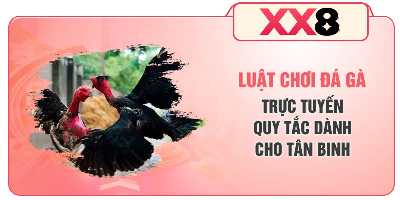 Luật Chơi Đá Gà Trực Tuyến - Quy Tắc Dành Cho Tân Binh