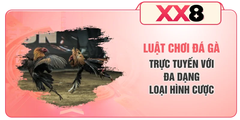 Luật chơi đá gà trực tuyến với đa dạng loại hình cược