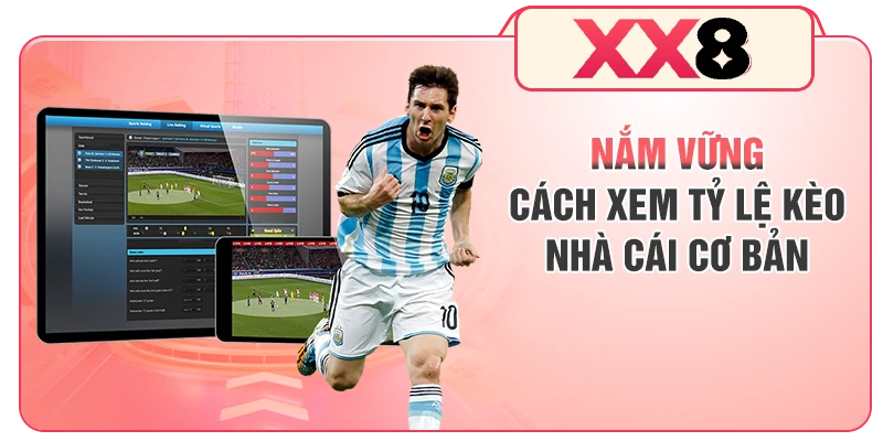 Nắm vững cách xem tỷ lệ kèo nhà cái cơ bản